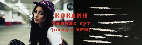 шишки Козельск