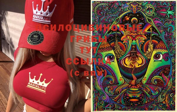 марки nbome Козловка