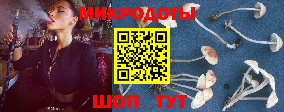 Павлово  Галлюциногенные грибы Psilocybe  Вход с VPN  Галлюциногенные грибы ЛСД 